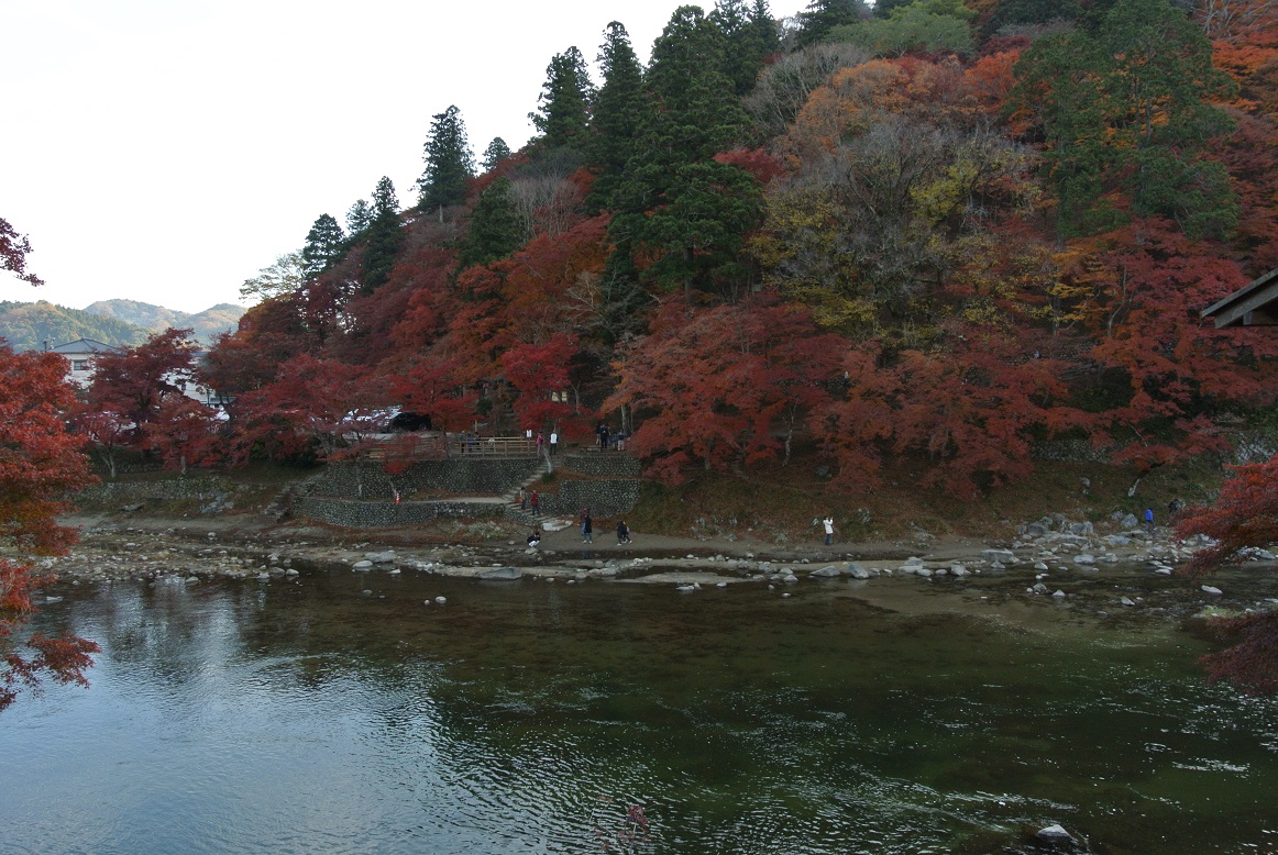 【車で行く】香嵐渓の紅葉を見てきたよ。